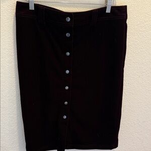 Elegant velvet Christoper banks Skirt size medium